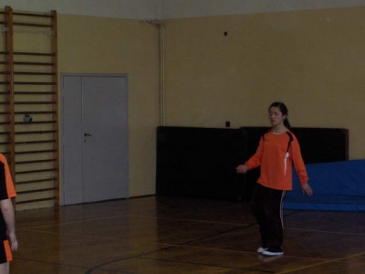 reczna2011_12
