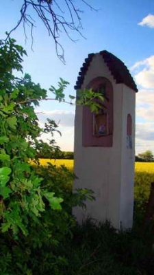 Pokrzywnica_22